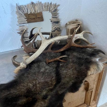 Appartamento Haus Schnoeller Bach  Esterno foto