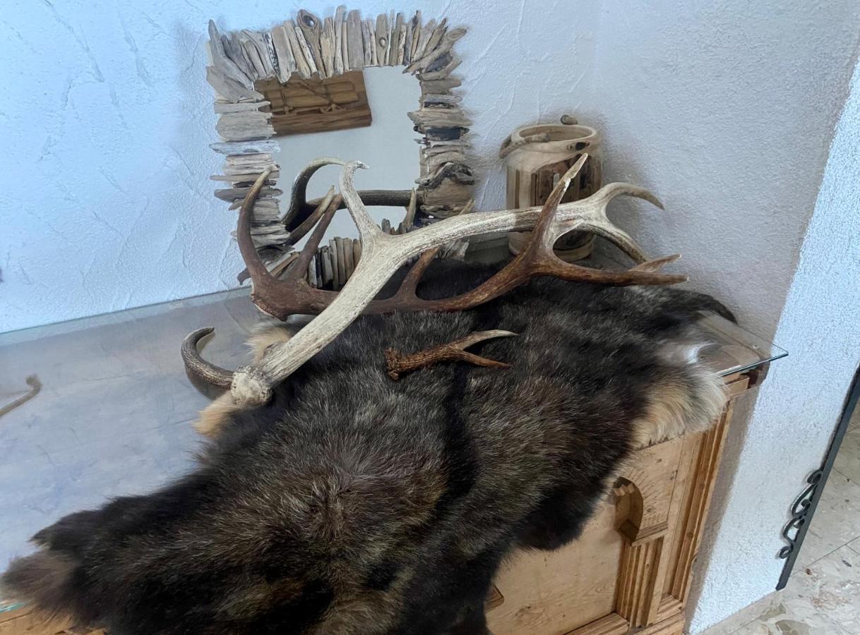 Appartamento Haus Schnoeller Bach  Esterno foto